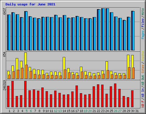 Daily usage for June 2021