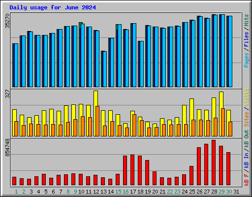 Daily usage for June 2024