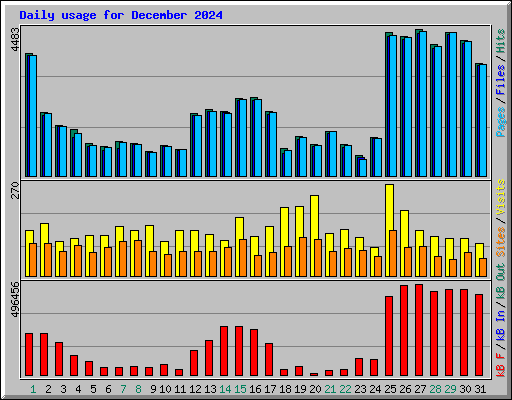 Daily usage for December 2024