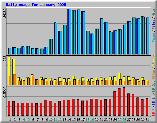 Daily usage for January 2025