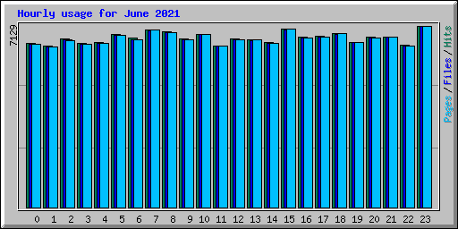 Hourly usage for June 2021