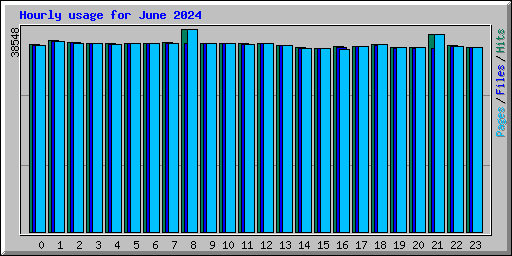 Hourly usage for June 2024