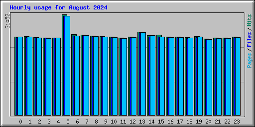 Hourly usage for August 2024