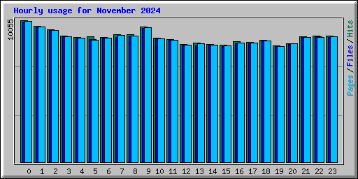 Hourly usage for November 2024