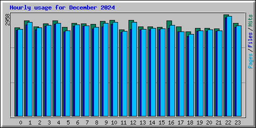 Hourly usage for December 2024