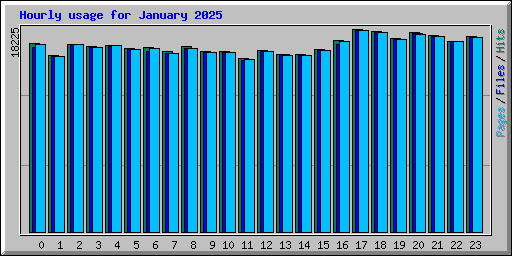 Hourly usage for January 2025