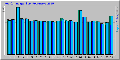 Hourly usage for February 2025