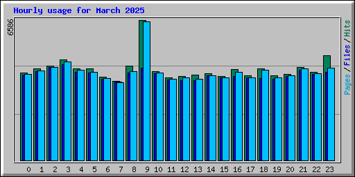 Hourly usage for March 2025