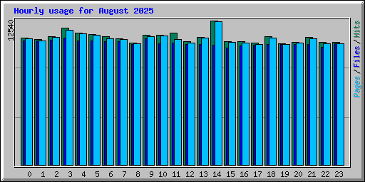 Hourly usage for August 2025