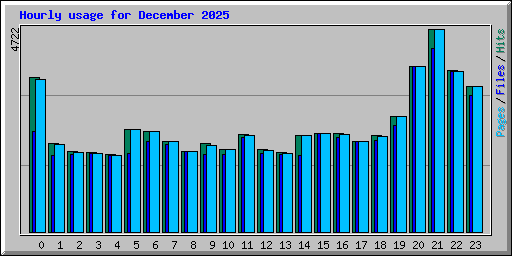 Hourly usage for December 2025