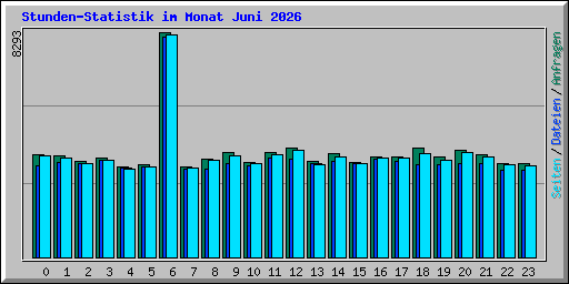Stunden-Statistik im Monat Juni 2026
